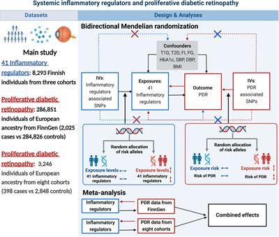 Systemic inflammatory regulators and proliferative diabetic retinopathy: A bidirectional Mendelian randomization study
